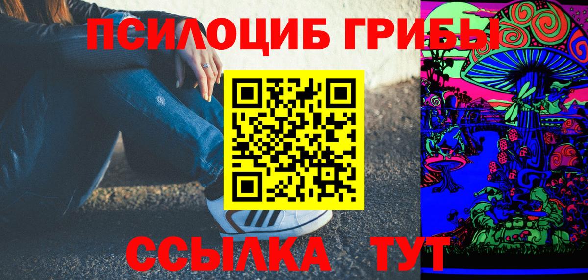 Псилоцибиновые грибы Psilocybe Сочи